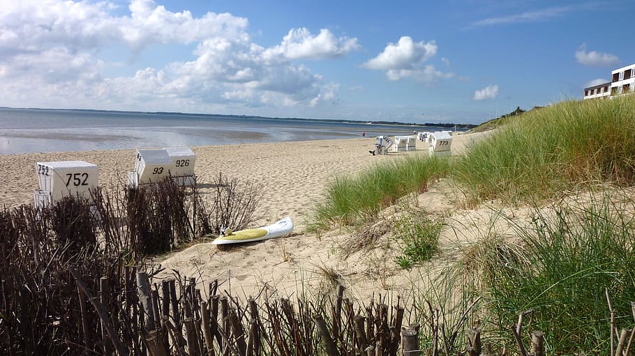 beach, north sea, dunes, water, sky, plant, land, cloud - sky HD wallpaper