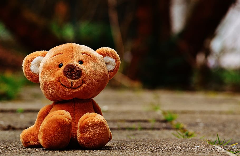 Soft toys HD wallpapers | Pxfuel
