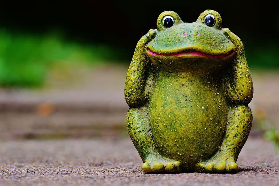 frog, figure, funny, green, animal, cute, sweet, animal themes HD wallpaper