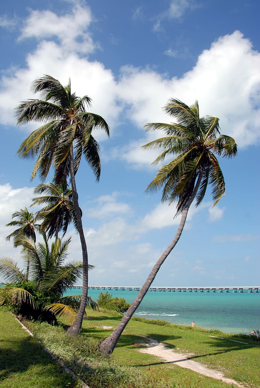 Bahia Honda State Park, Florida Keys, seven mile bridge, tourism, HD wallpaper