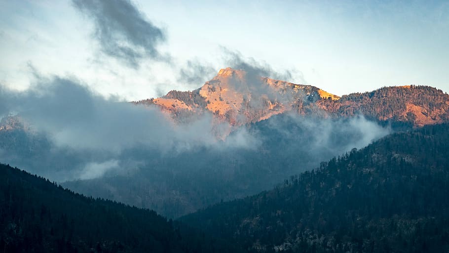 foggy mountains under blue sky, cloud, tree, woodland, forest HD wallpaper