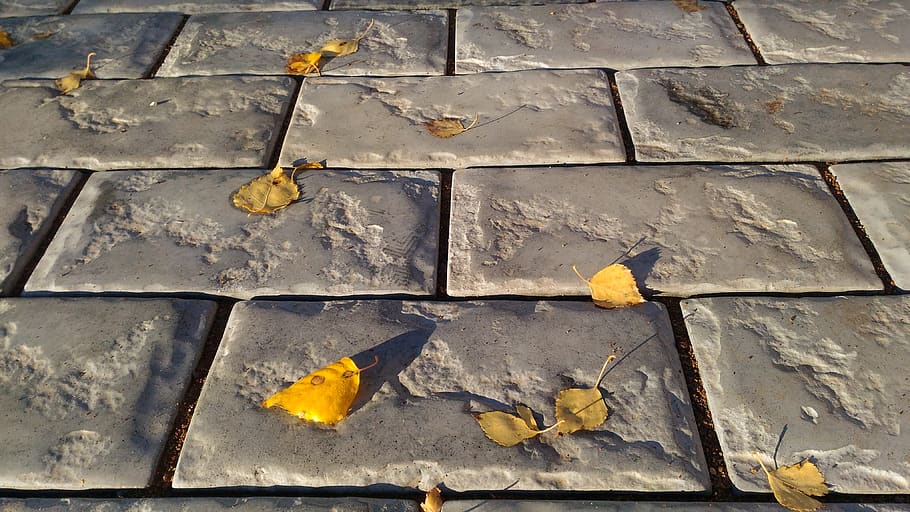 stone, background, expression, concrete, brick, leaf, no people HD wallpaper