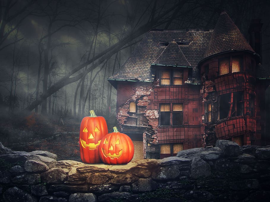 two orange pumpkins near brown building illustration, halloween HD wallpaper