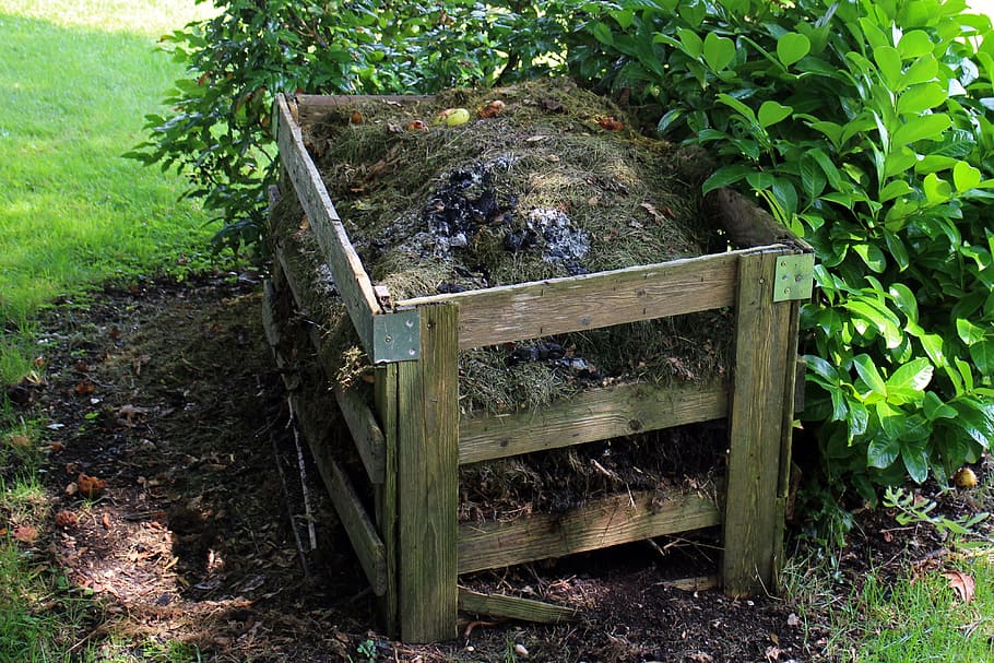 brown wooden plant box near green plant, compost, garden, waste