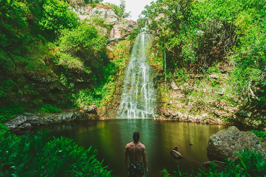 waterfall, green, grass, rocks, moss, trees, plant, nature HD wallpaper