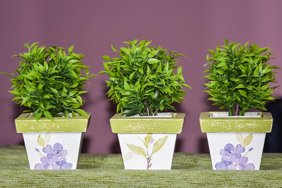 pots, decoration, artificial, inside, plant, green color, potted plant HD wallpaper