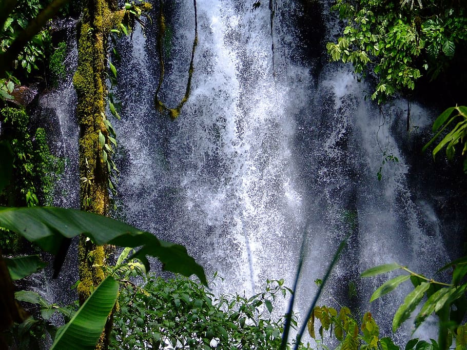 waterfalls in forest, cedar, philippines, nature, tropics, green, HD wallpaper