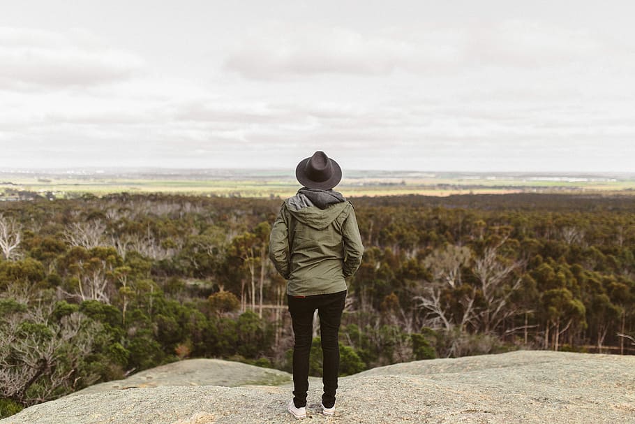 man standing on mountain viewing forest, woman standing on top of a hill HD wallpaper