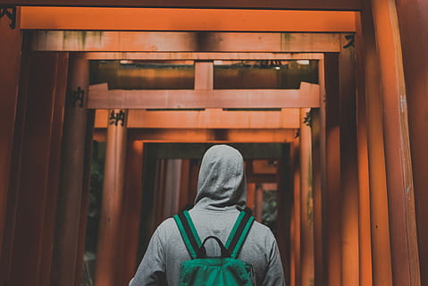 man with gray hoodie walking on wooden arcs, person wearing green backpack HD wallpaper