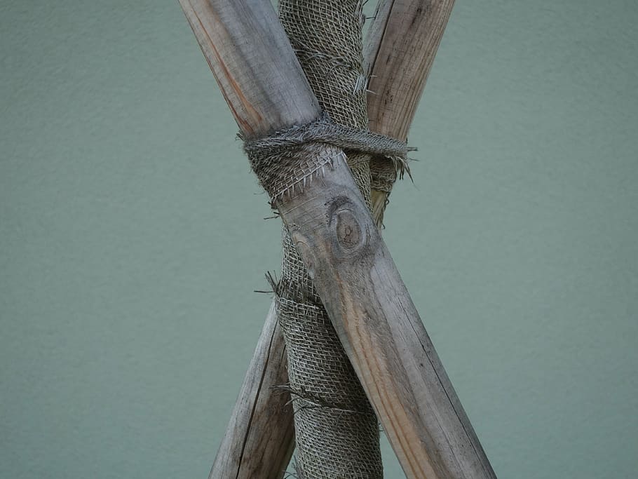 log, supported, bound, connected, wrapped around, wood, crossbred HD wallpaper