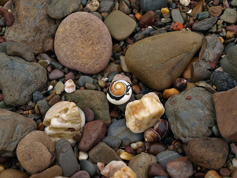 snail, shell, spiral, stones, pattern, colorful, harmonious HD wallpaper