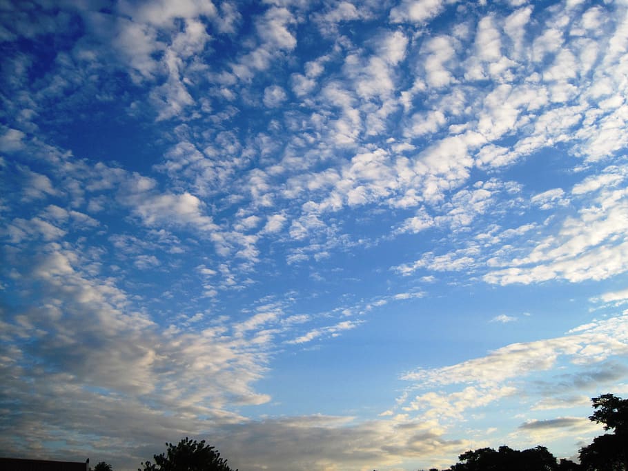 Clouds, Spread, Radiating, White, flocked, bright, sky, blue HD wallpaper
