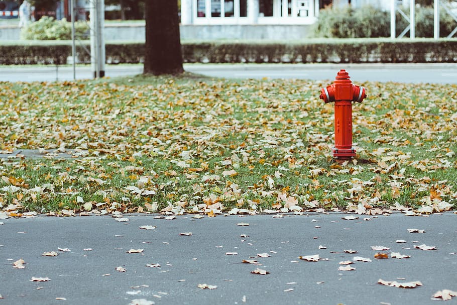 fire hydrant, leaves, grass, asphalt, outdoors, fall, autumn HD wallpaper