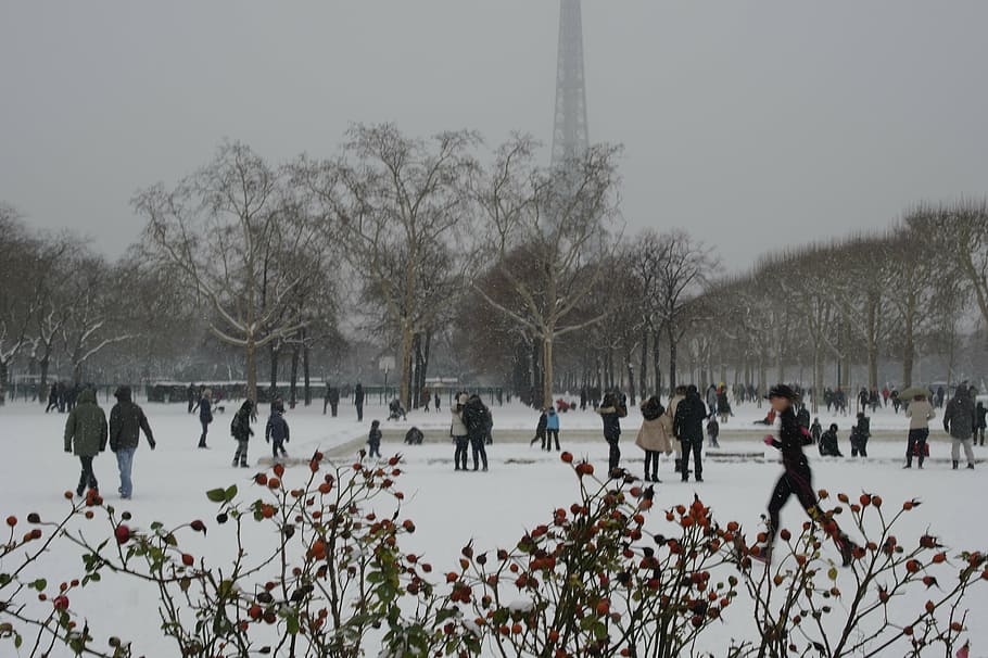 snow, paris, champs de mars, eiffel tower, winter, cold, games, HD wallpaper