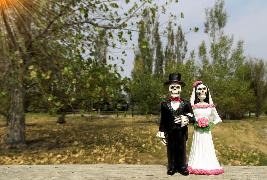 skeleton couple standing near tree, bride, groom, wedding, love HD wallpaper