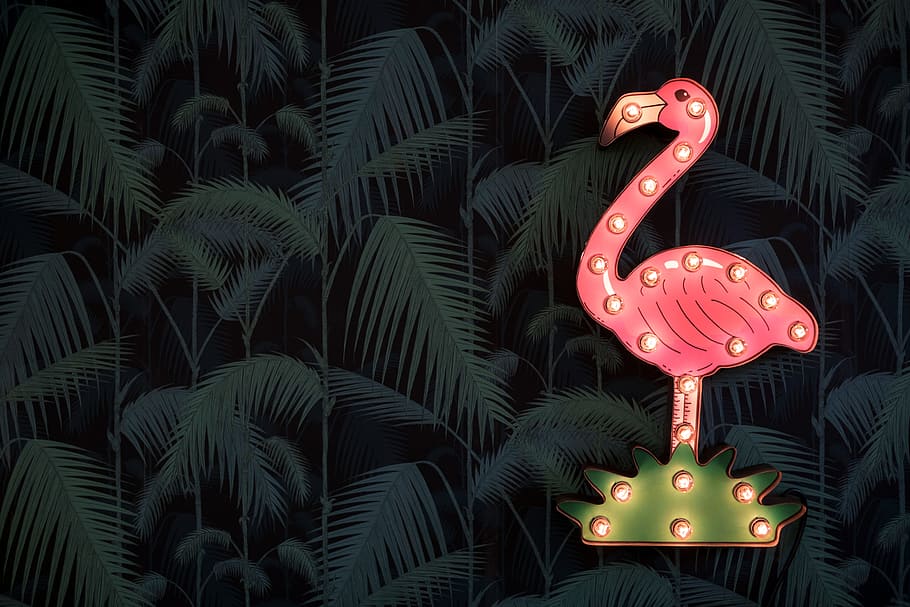 flamingo illustration, lighted flamingo wall decor, pink, swan HD wallpaper