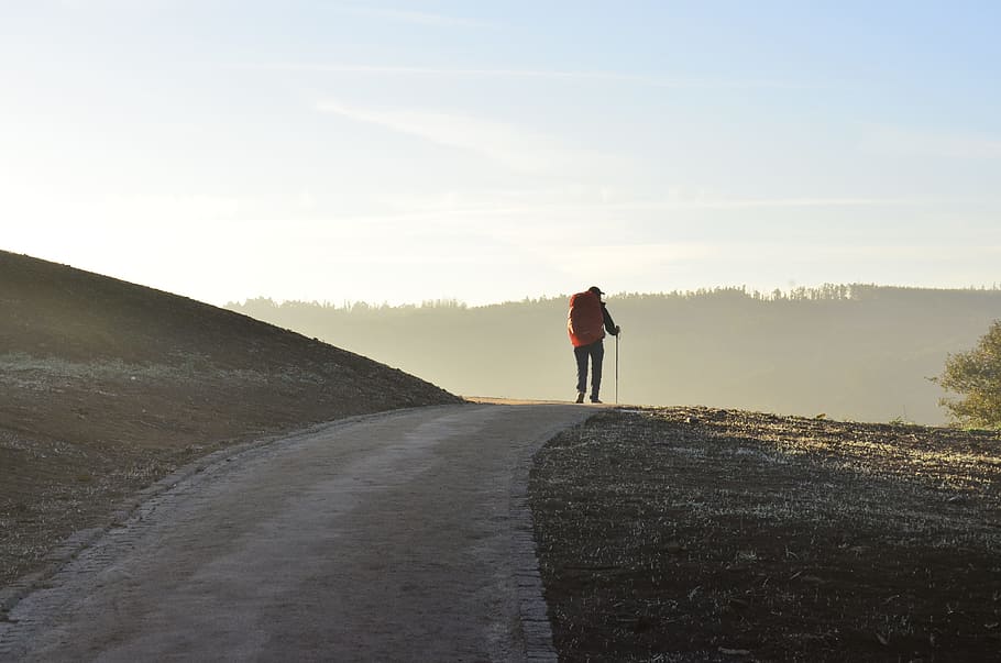 person walking on road during daytime, person walking on road at daytime HD wallpaper