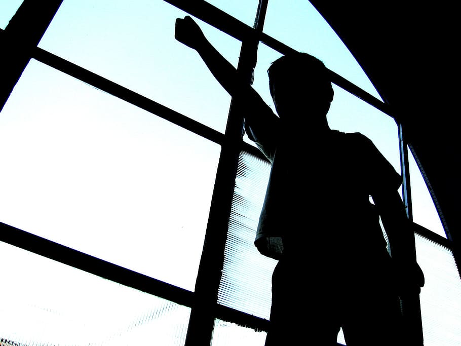 silhouette of person near window, child, winner, one person HD wallpaper