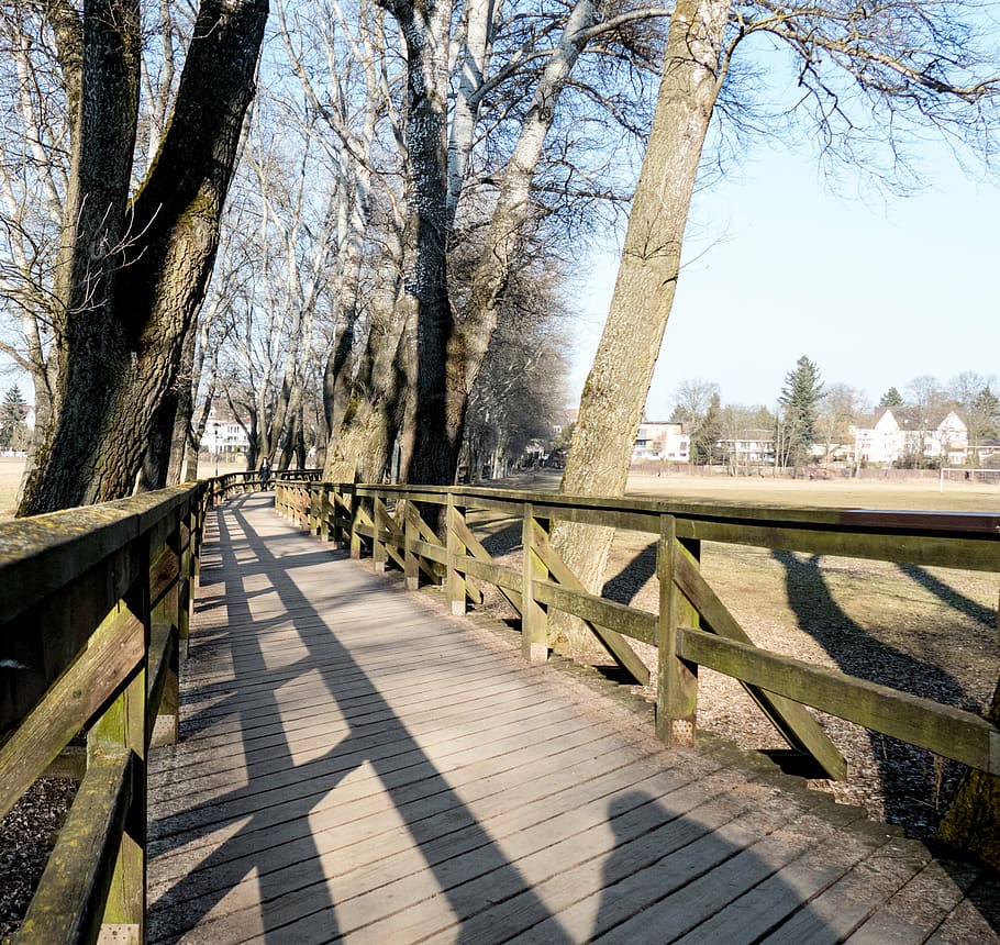 web, bridge, wooden bridge, park, nature, railing, old, flood footbridge
