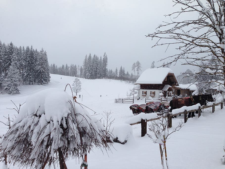 Austria, Styria, Ramsau, Dachstein, winter, snowfall, mountains HD wallpaper