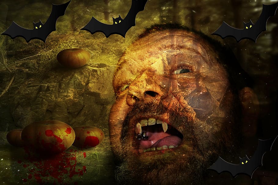 halloween, man, vampire, bats, background, pumpkin, blood, creepy HD wallpaper