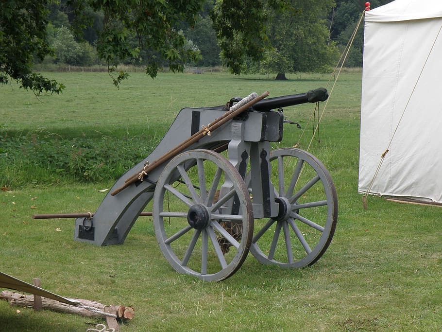 cannon, war, prop, plant, grass, field, tree, wheel, land, nature HD wallpaper