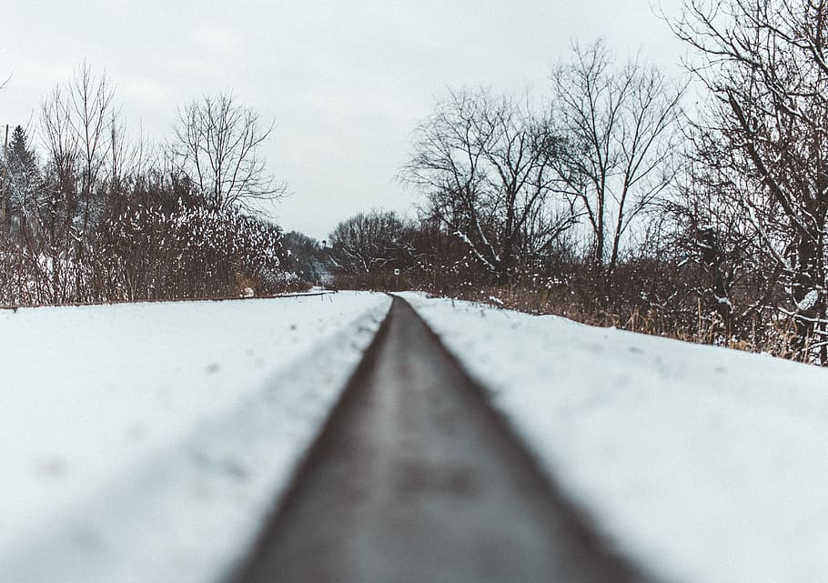 landscape photography of trees, empty road surrounded with snow HD wallpaper