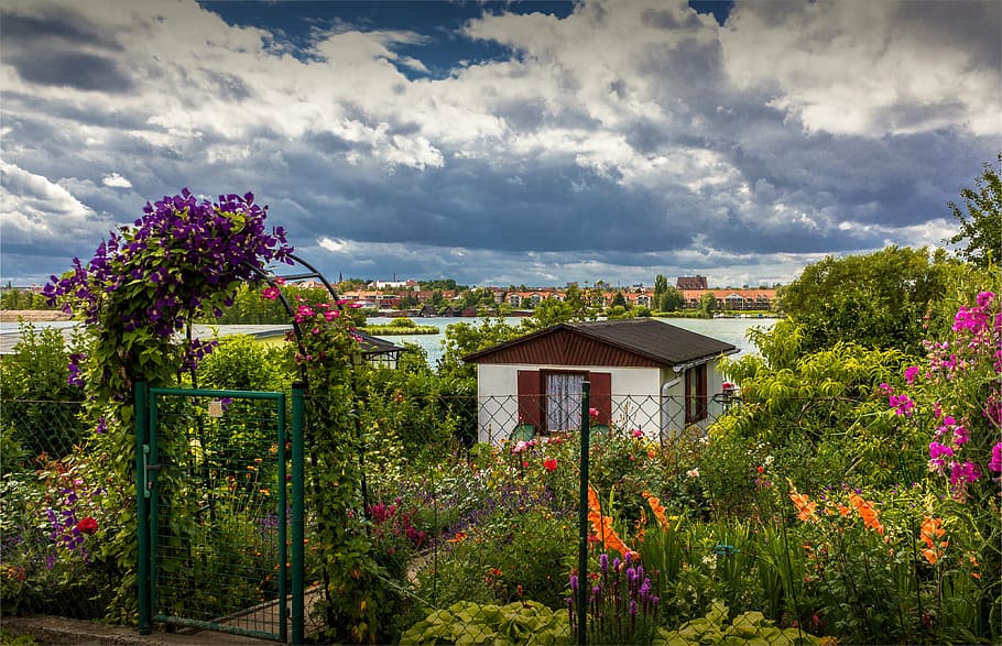 schwerin, garden, heidensee, flower, house, nature, outdoors HD wallpaper