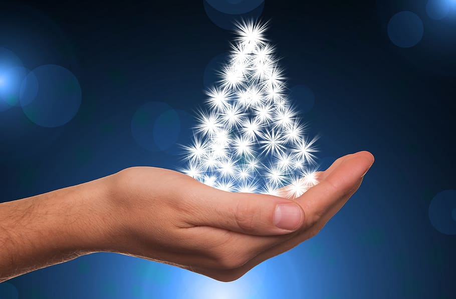 person holding white miniature Christmas tree, star, gloss HD wallpaper