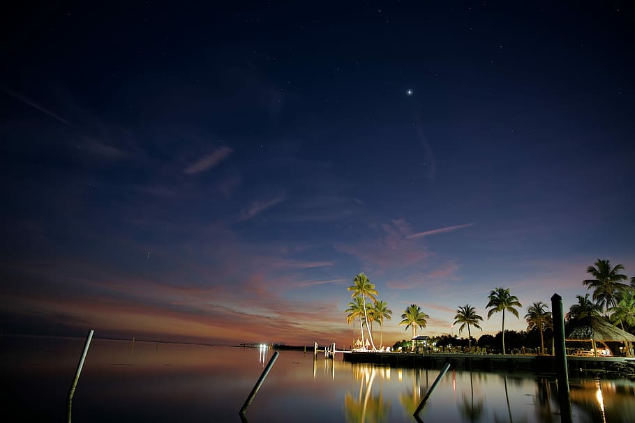 Islamorada Sunset, green coconut trees beside body of water, sunrise HD wallpaper