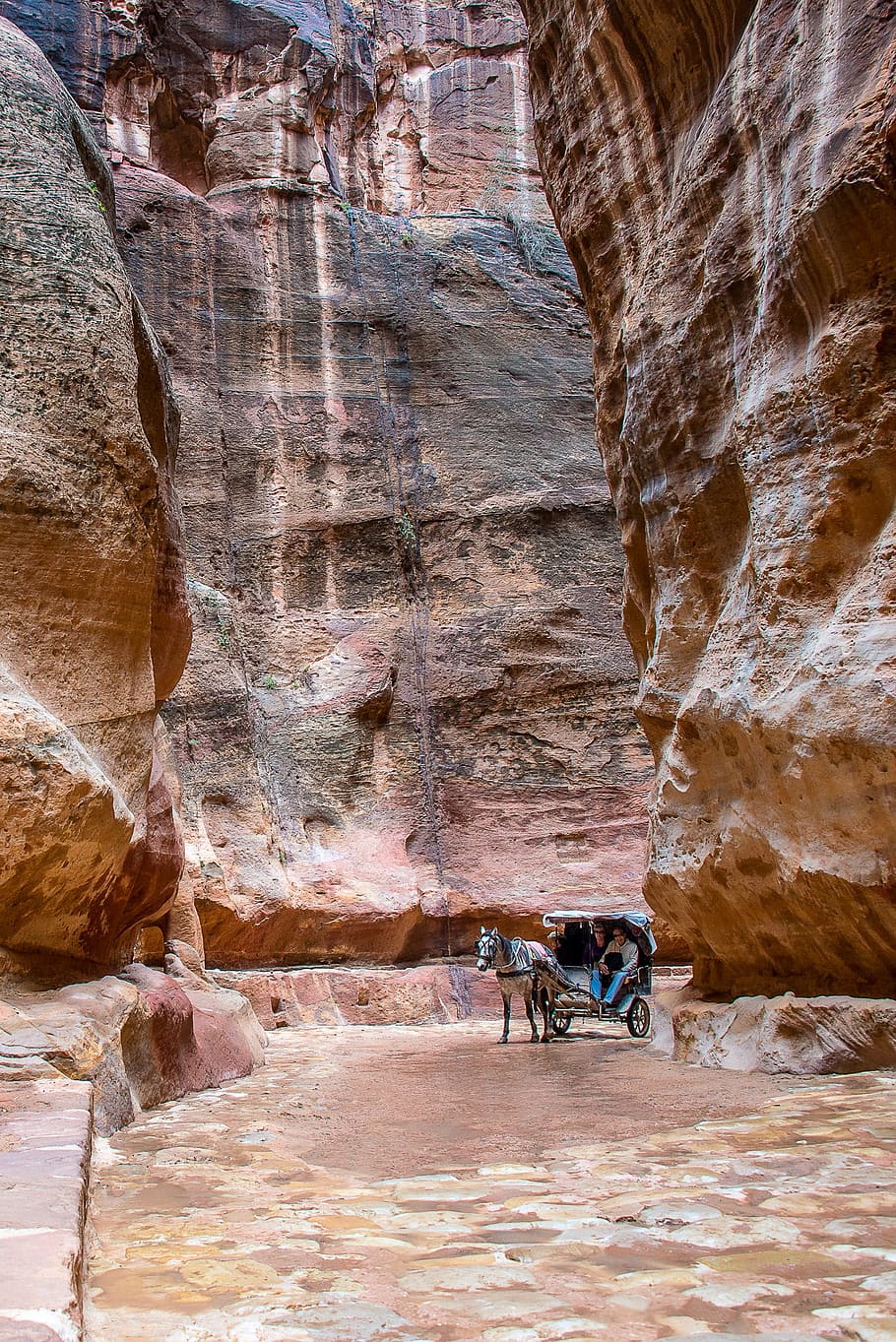 Jordan, Petra, Horse, Road, Stones, rock - object, rock formation