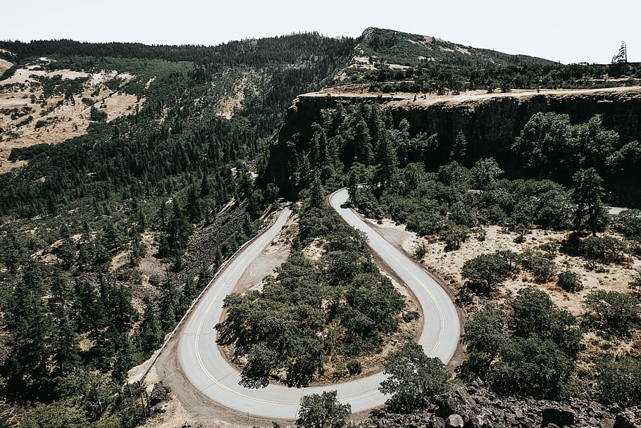 Twisting roadway in Portland, Oregon, forest, photos, public domain, HD wallpaper