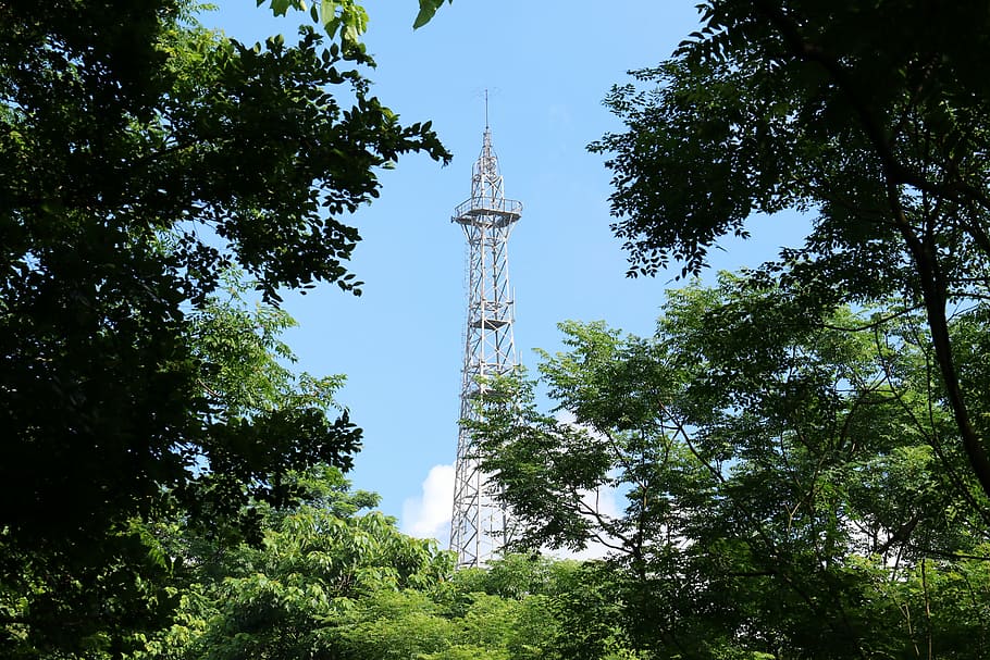 Green tower. Башня «зеленой волны». Башня жизни. Башня зеленого ангела. Башня Грин 1536.