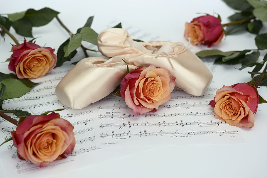 red and orange roses on white printer paper, ballet shoes, dance, HD wallpaper