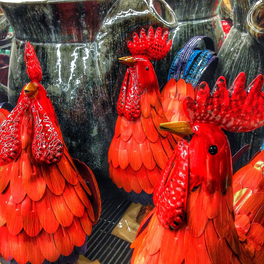 chickens, red, rooster, retail, animal, for sale, no people HD wallpaper