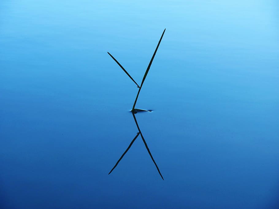 Nature, Water, Highlights, blue, no people, day, sky, beauty in nature HD wallpaper