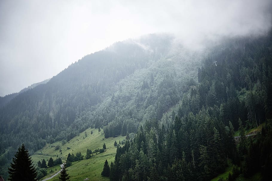 mountain, side, valley, trees, green, nature, rural, scenery HD wallpaper