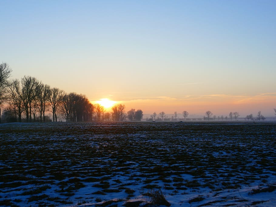wintry, sunset, trees, back light, hazy, winter, snow, cold HD wallpaper