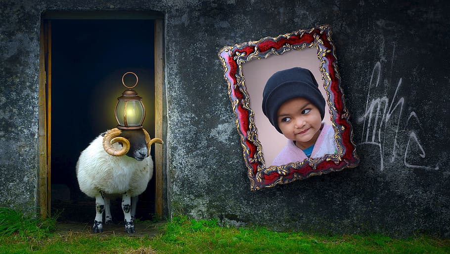 girl in pink top and black beanie photo frame, composing, sheep, HD wallpaper