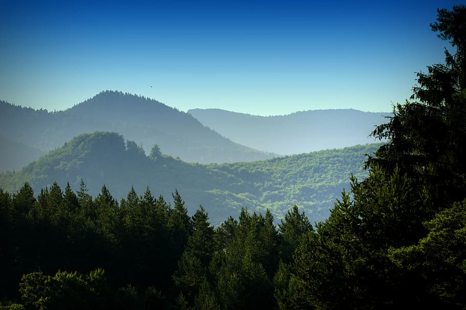 aerial photo of mountains and forest, forests, nature, trees HD wallpaper