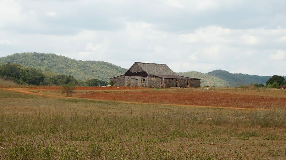 Cigar, Home, Landscape, Cuba, Nature, field, built structure HD wallpaper