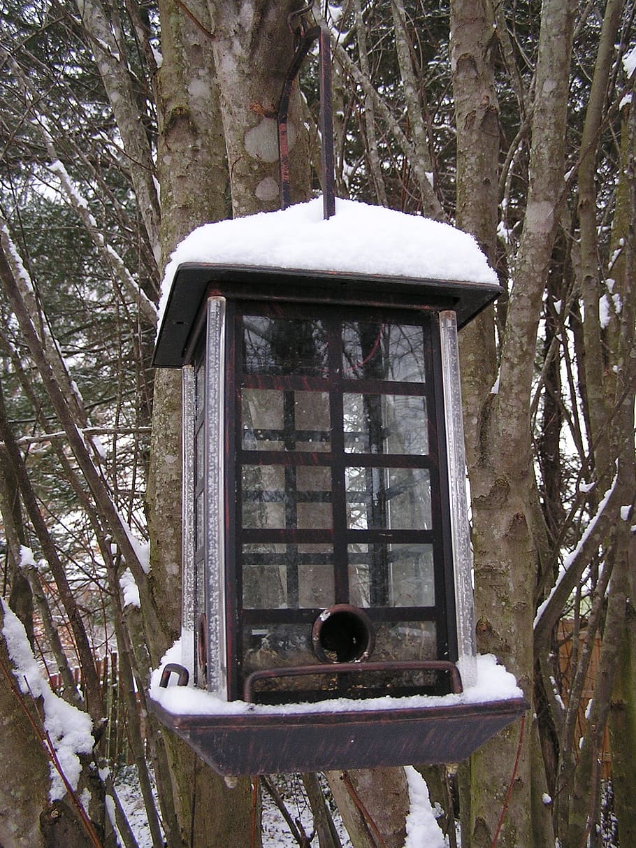 snow, bird feeder, winter, nature, cold, tree, birdhouse, animal HD wallpaper