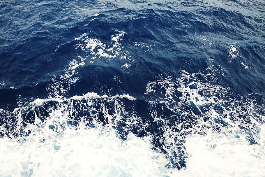 sea, ocean, waves, motion, water, sport, surfing, beauty in nature HD wallpaper