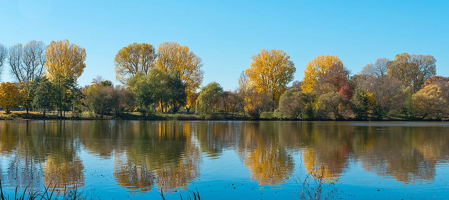 autumn, mirroring, golden autumn, water, pond, trees, nature, HD wallpaper