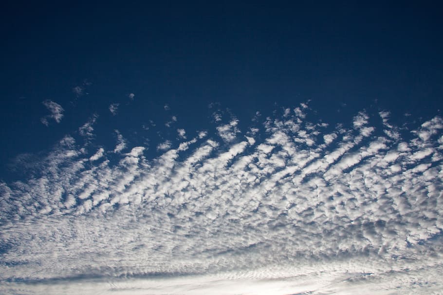 Clouds, Blue, Sky, fleecy clouds, clear, sunny, beautiful, morning HD wallpaper