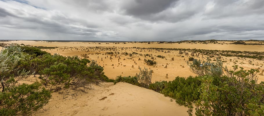 Australia, Pinnacles, Desert, westcoast, national park, wa HD wallpaper