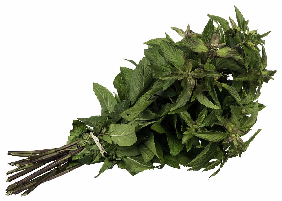 green leafed plant bundle, mint, spice, herb, leaves, food HD wallpaper