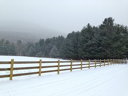 snowfield near forest, Harmony, Snow, White, Cold, Winter, harmony ny HD wallpaper