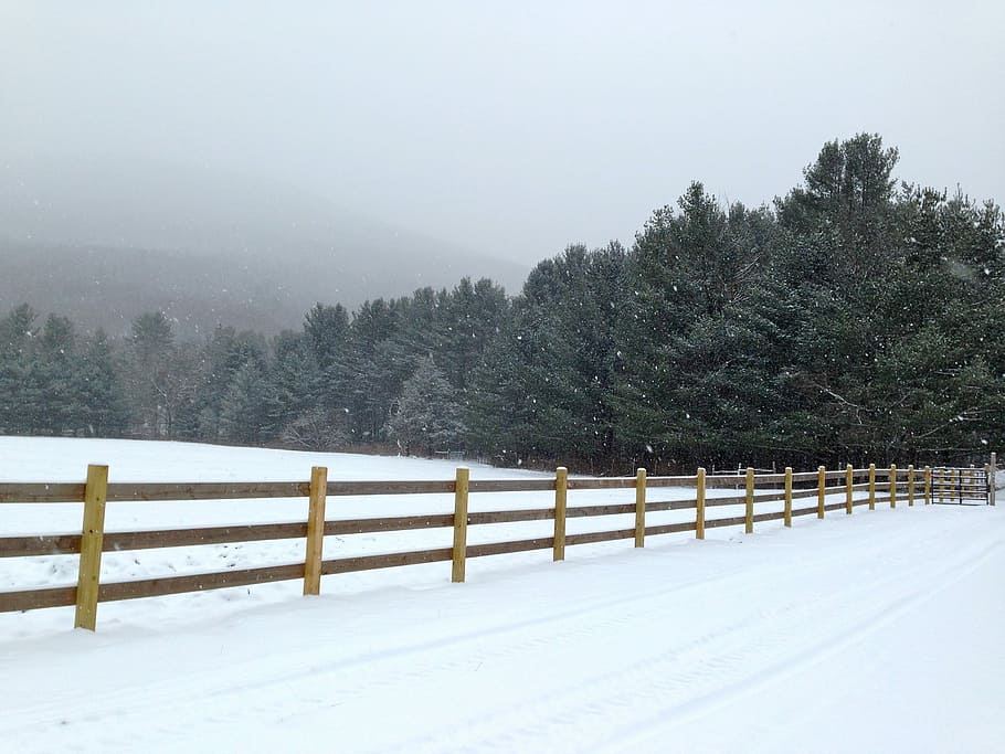 snowfield near forest, Harmony, Snow, White, Cold, Winter, harmony ny HD wallpaper