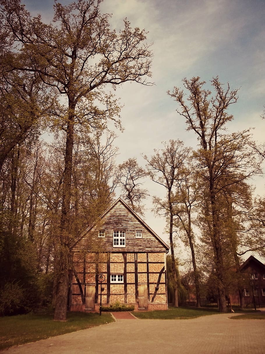home, hut, tree, nature, landscape, architecture, built structure HD wallpaper